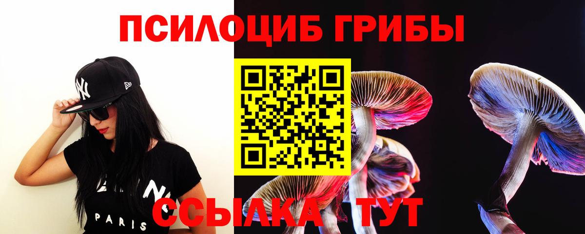 Псилоцибиновые грибы мухоморы Павловский Посад